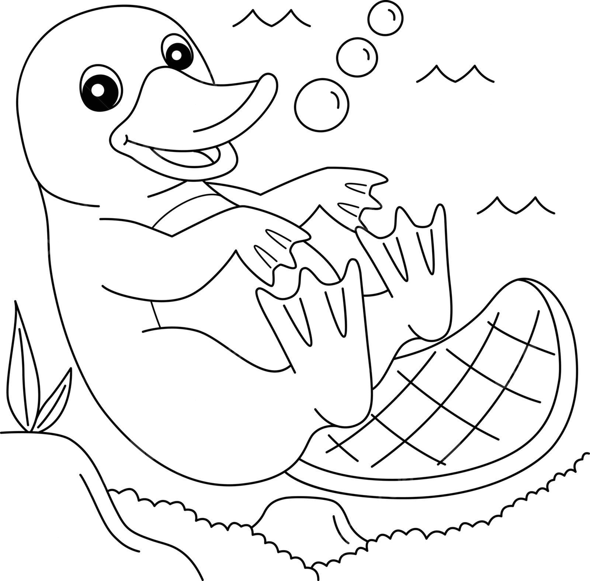 Platypus animal coloring page for kids animal mammal page vector animal mammal page png and vector with transparent background for free download