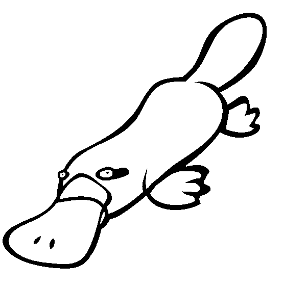 Platypus coloring page