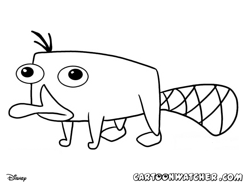 Perry the platypus coloring pages printable for free download