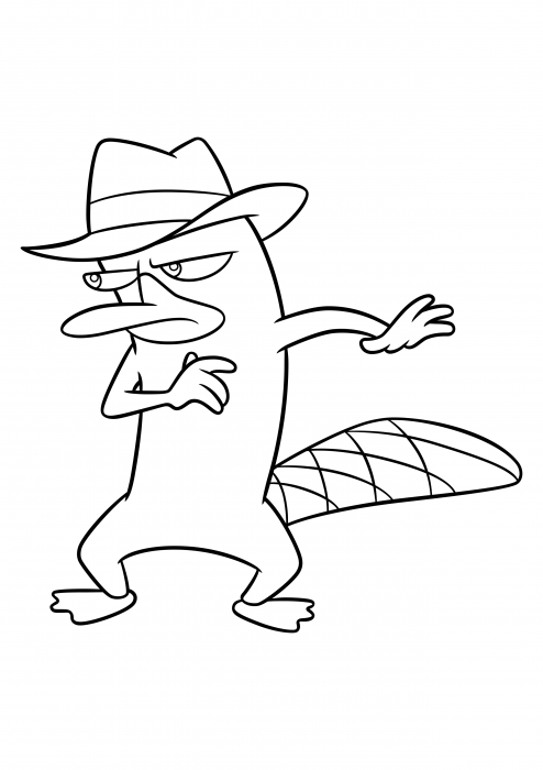 Perry the platypus coloring pages phineas and ferb coloring pages