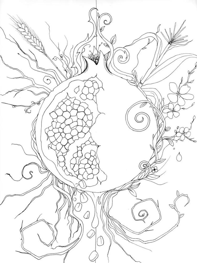 Special painting for artistic pomegranate coloring page