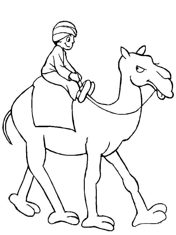 A man riding camel coloring page