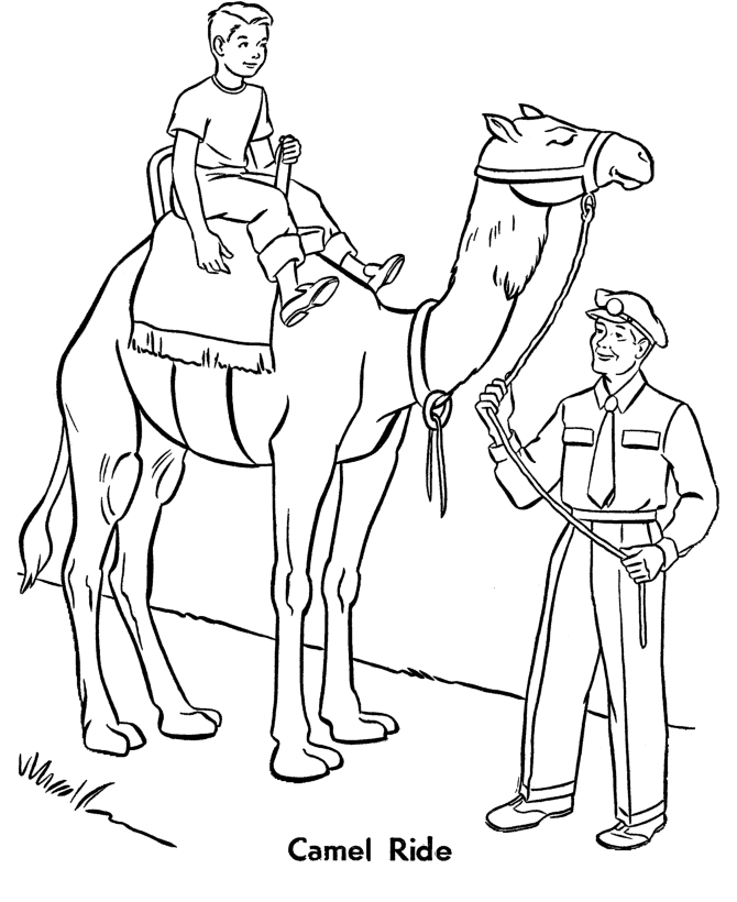 Zoo animal coloring pages zoo camel exhibit coloring page sheet