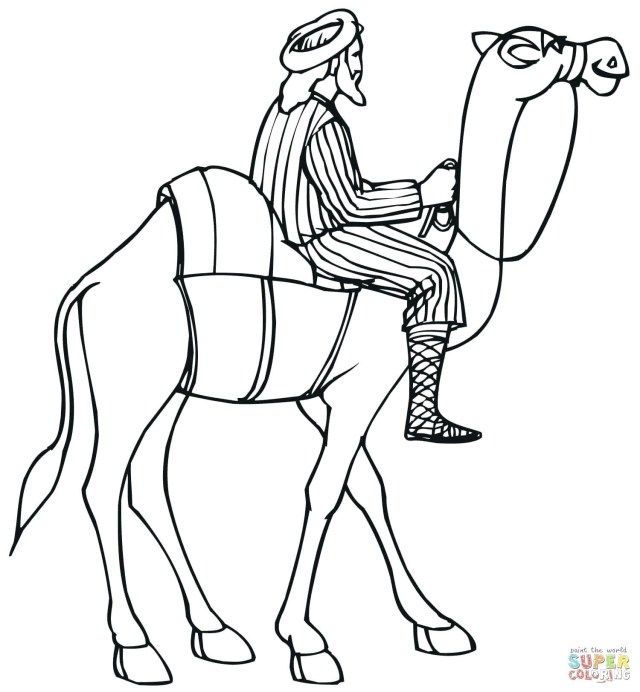 Inspired picture of camel coloring page