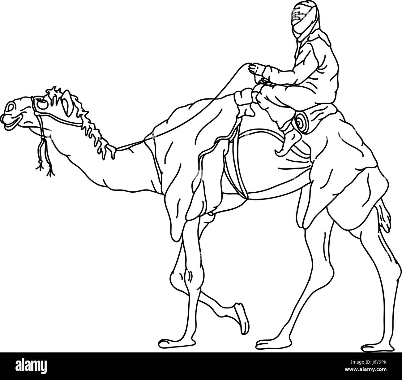 Camel illustration paint draw bedouin cartoon color walk go going walking stock photo