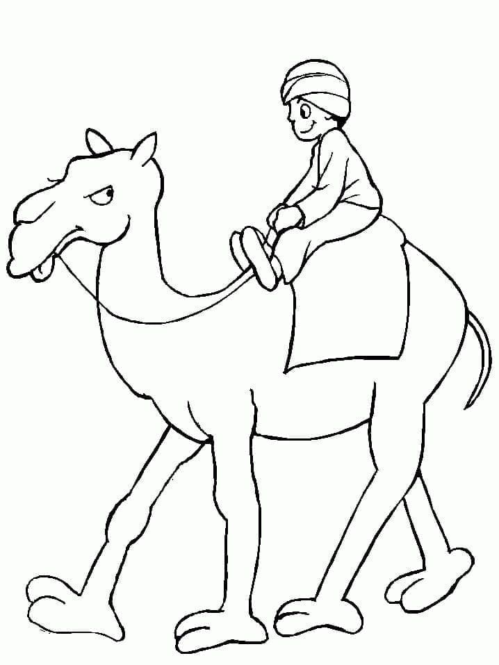 Ride camel coloring page