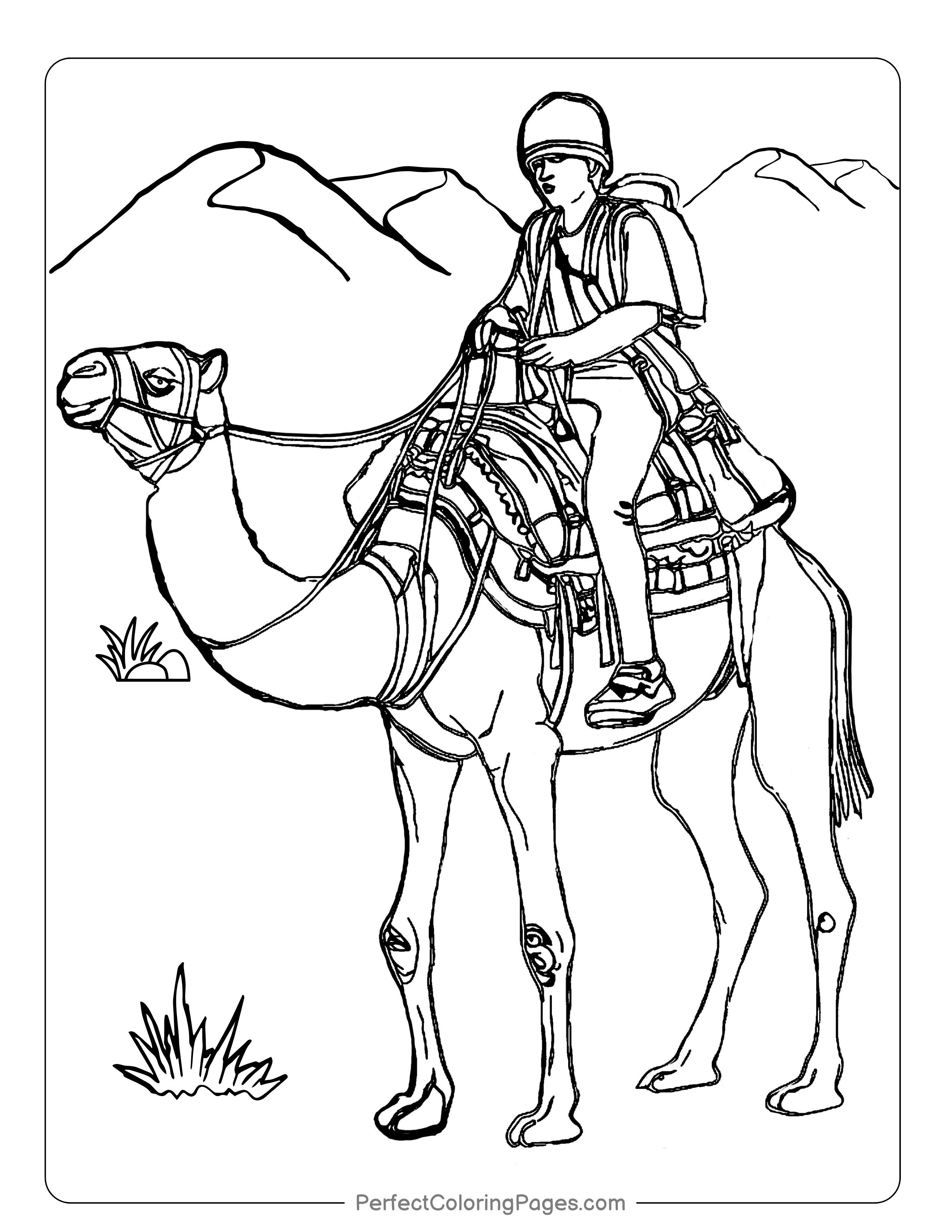 Free printable camel coloring pages perfect collection