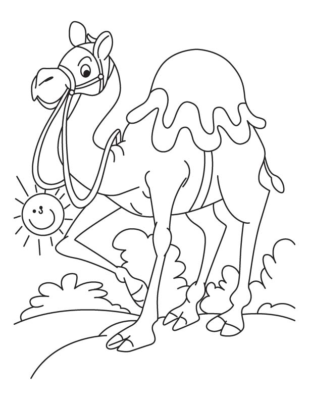 Walking arabian camel coloring page download free walking arabian camel coloring page for kids best coloring pages