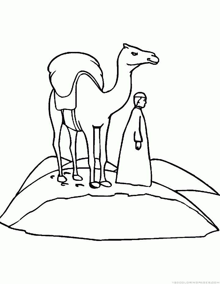 Camel coloring pages