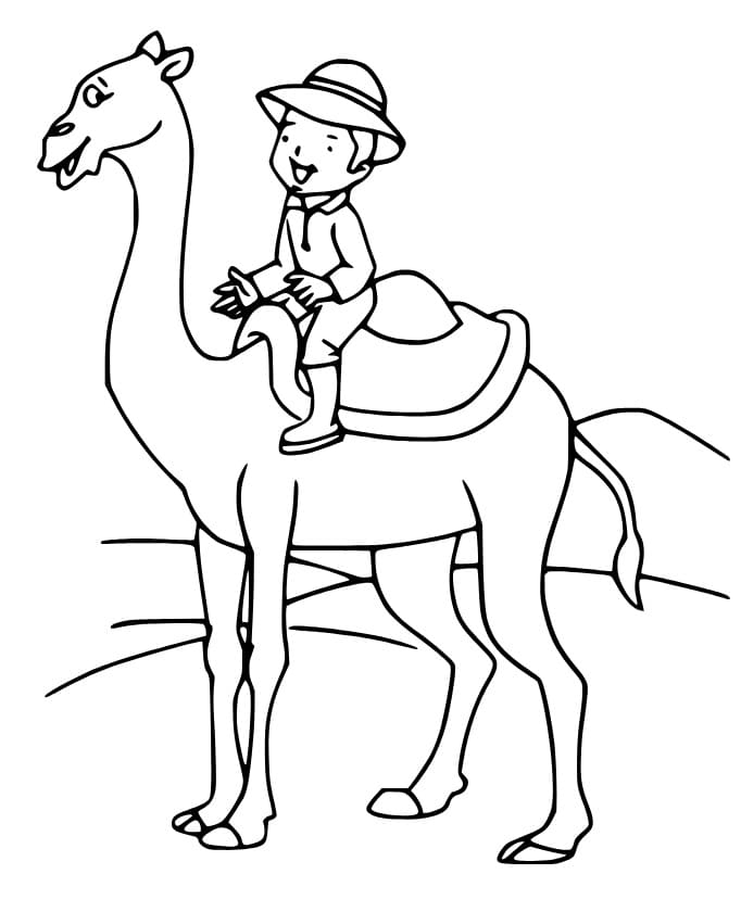 A boy is riding camel coloring page