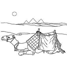 Top free printable camel coloring pages online