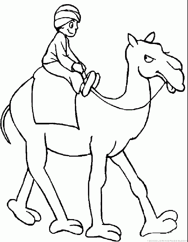 Camel coloring pages