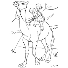 Top free printable camel coloring pages online