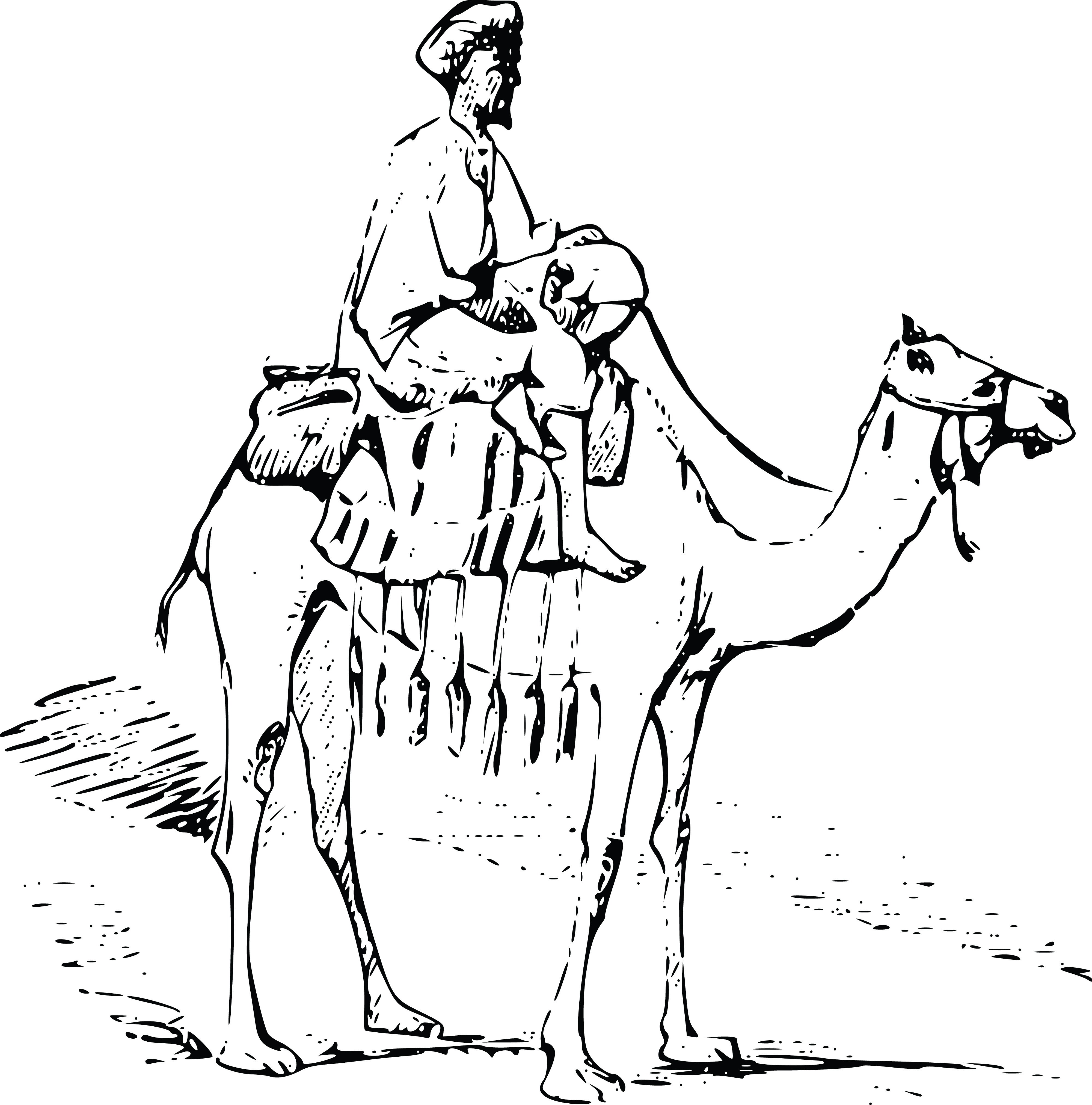 Clipart of a camel