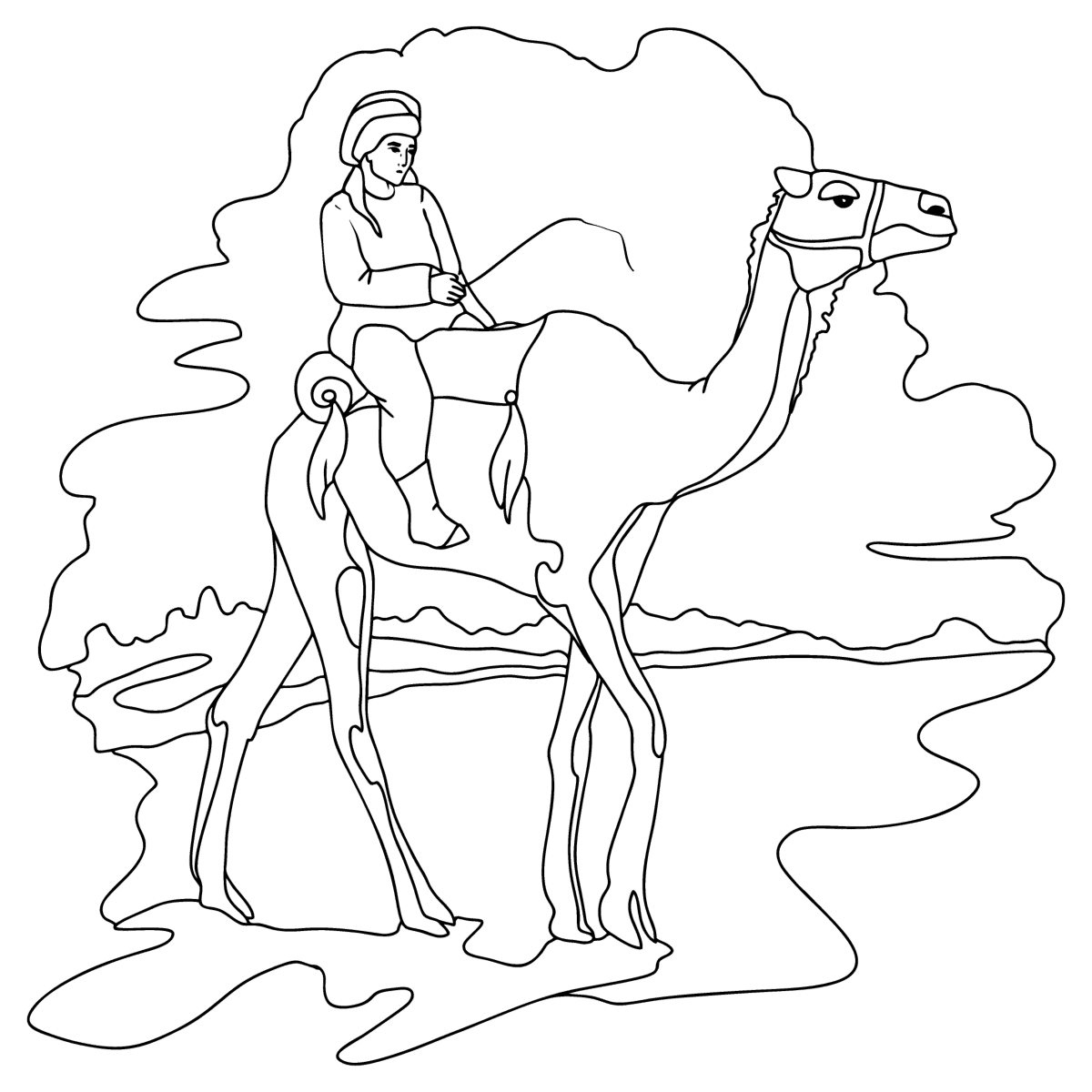 Bedouin on a camel