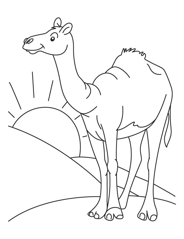 Camel picture to color coloring page download free camel picture to color coloring page for kids best coloring pages