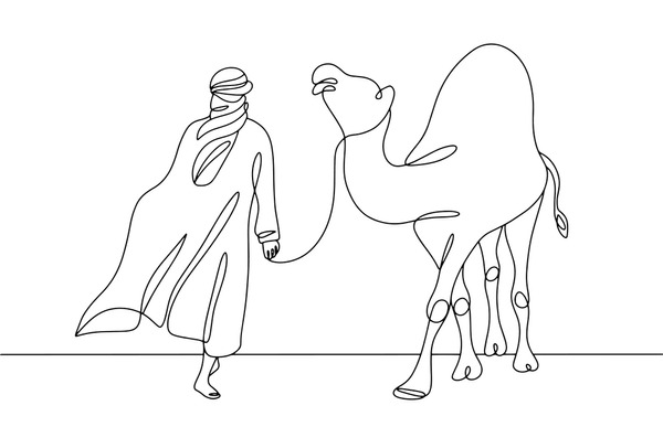 Drawing camel royalty