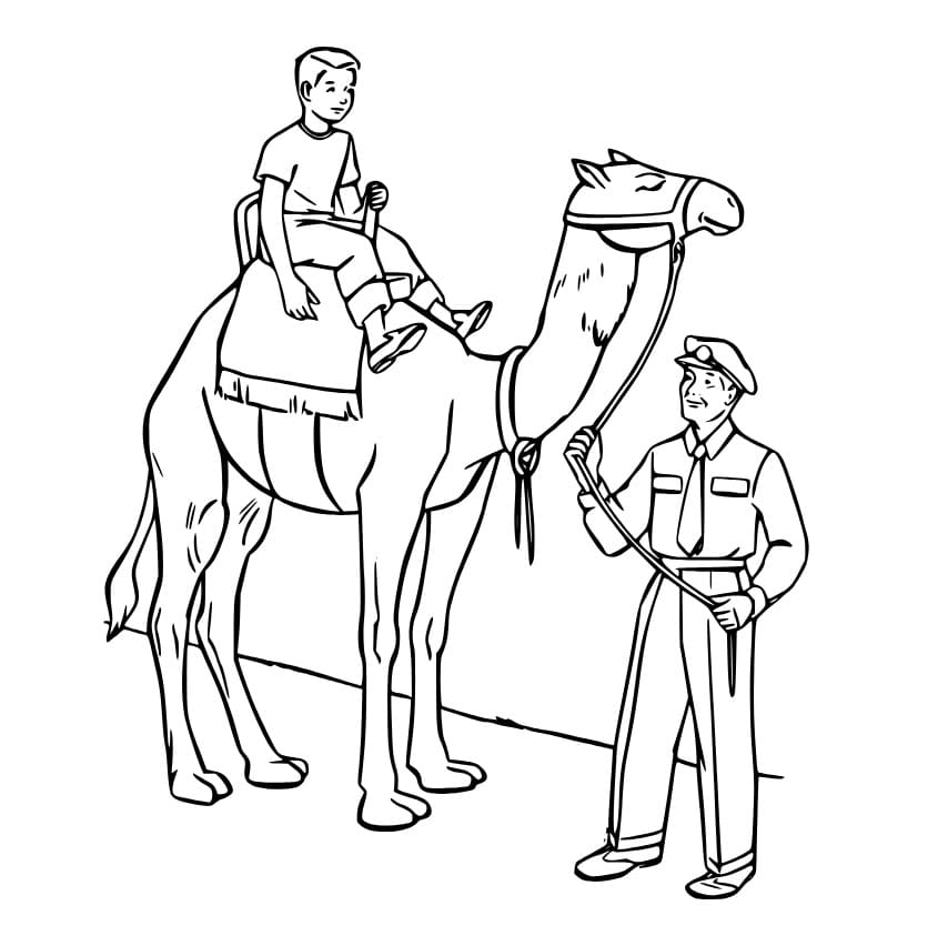 Little boy is riding camel coloring page