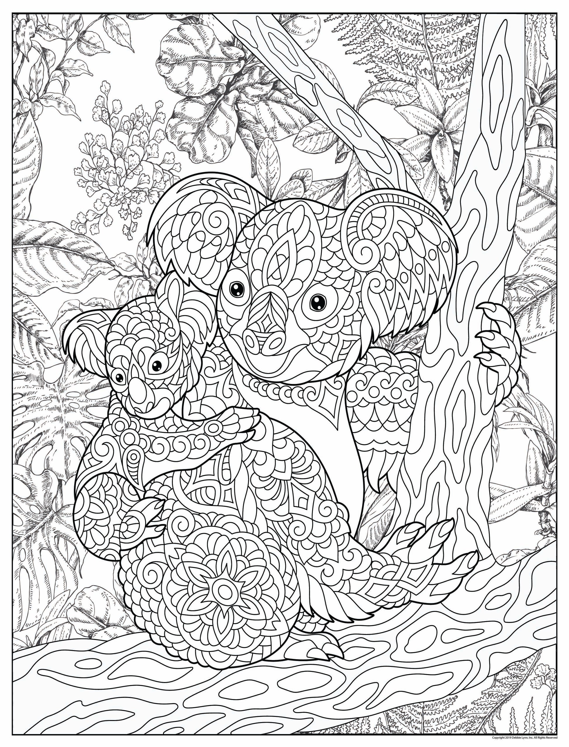 Koala personalized giant coloring poster x â debbie lynn