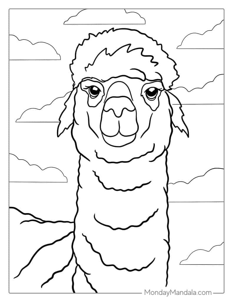 Llama coloring pages free pdf printables