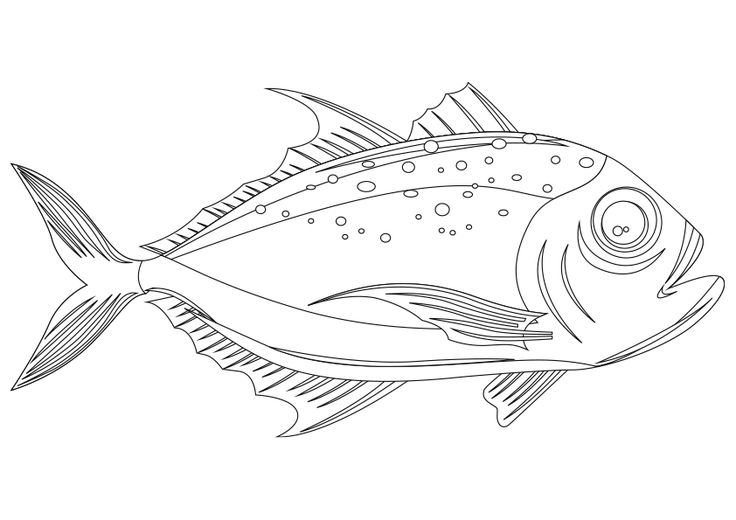 Dibujo para colorear animal colorear un pez bugo sea bream fish coloring page animalitos para colorear dibujos de animal pez para colorear