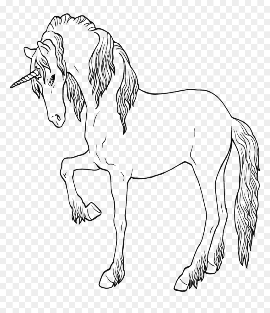 Unicorn ausmalbild drawing coloring book dibujo de