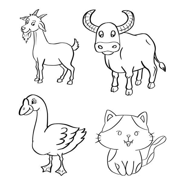 Donkey outline in black and white clip art clipart for free download