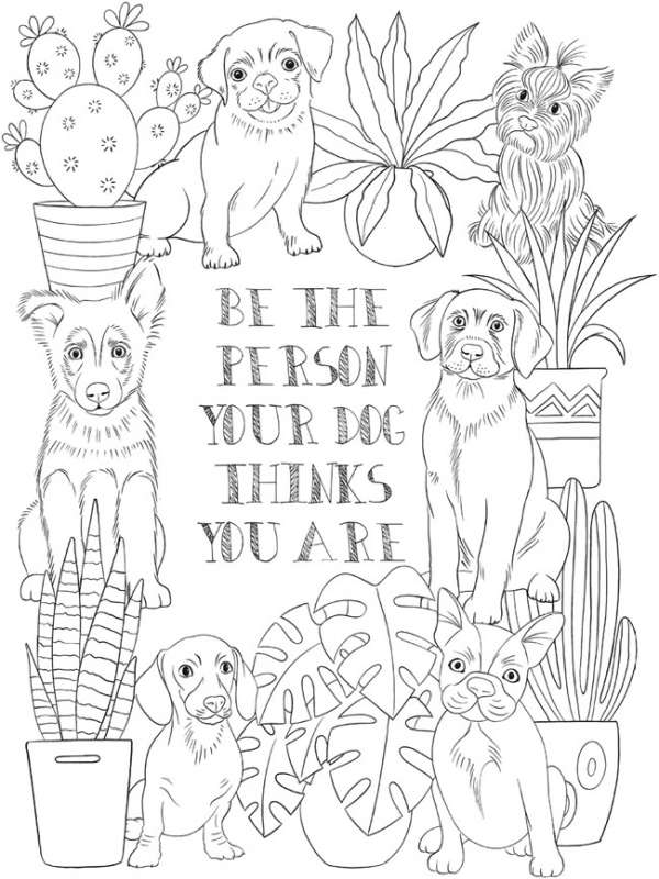 Pet free coloring pages â