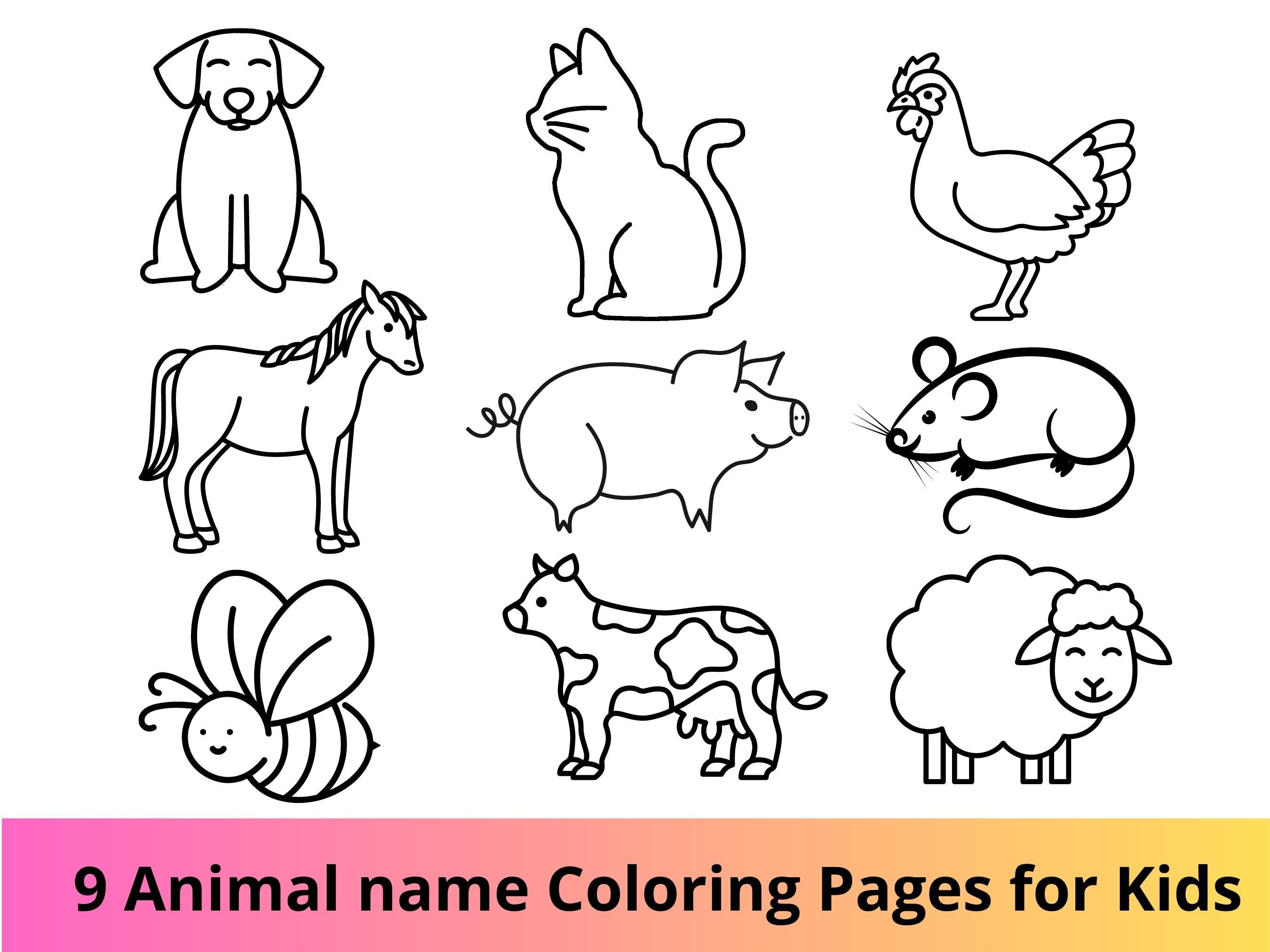 Animals coloring book pets animal printable kids coloring pages pets illustration activity sheets for kids animals instant download