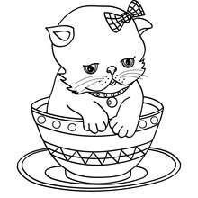 Pet coloring pages