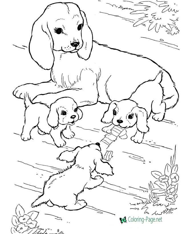 Dog coloring pages