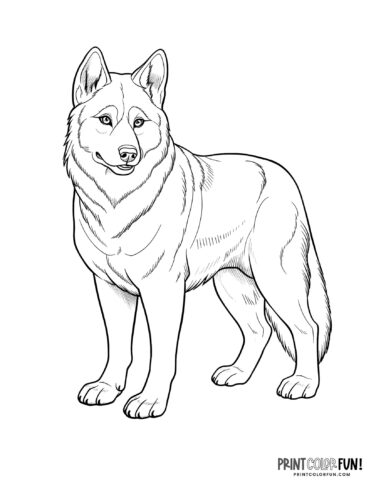 Dog coloring pages clipart pawsome activities for your little artist at