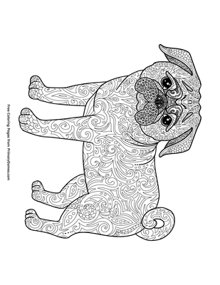 Pug coloring page â free printable pdf from