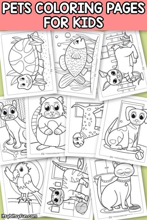 Pets coloring pages for kids free coloring pages with pet animals coloringsheets freecoloriâ preschool coloring pages pets preschool pets preschool theme