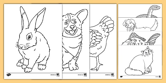 Pets coloring pages arts and crafts usa