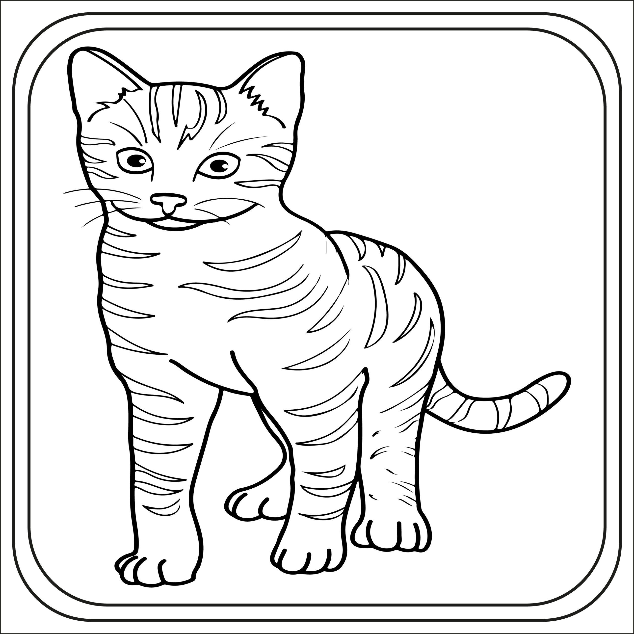 Cat coloring pages preschool kindergarten first grade made by teachers