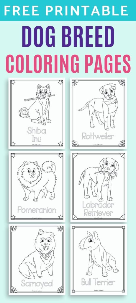 Free printable dog breed coloring pages for kids