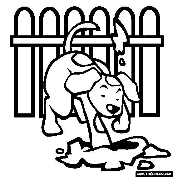 Pets online coloring pages