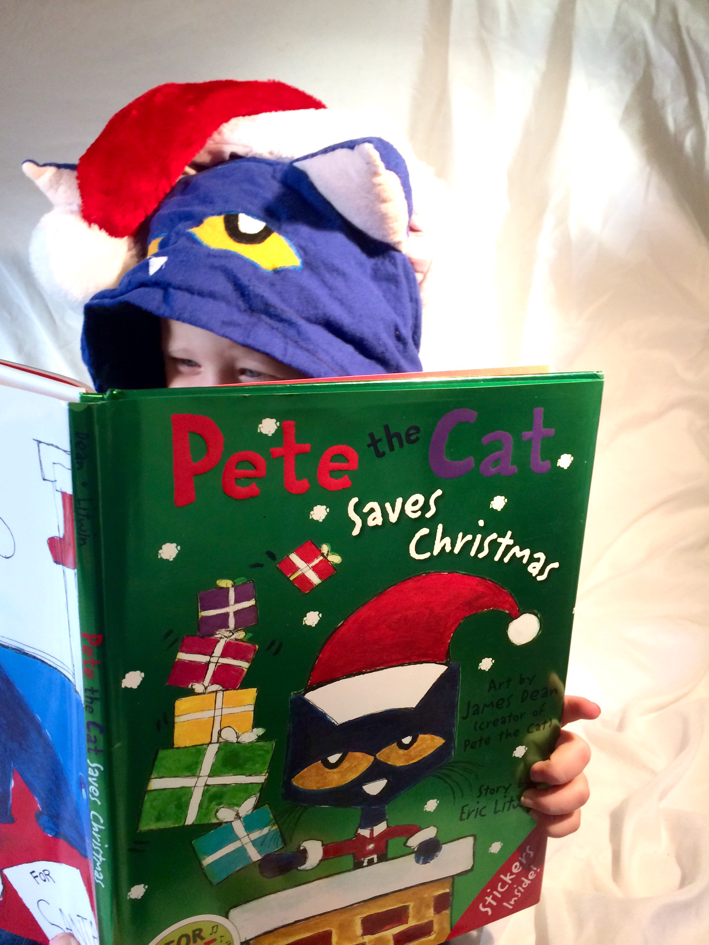 Pete the cat saves christmas