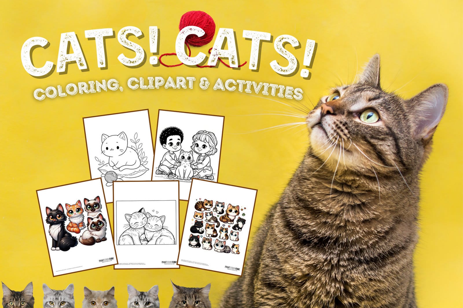 Paws play cat coloring pages craft fun more at