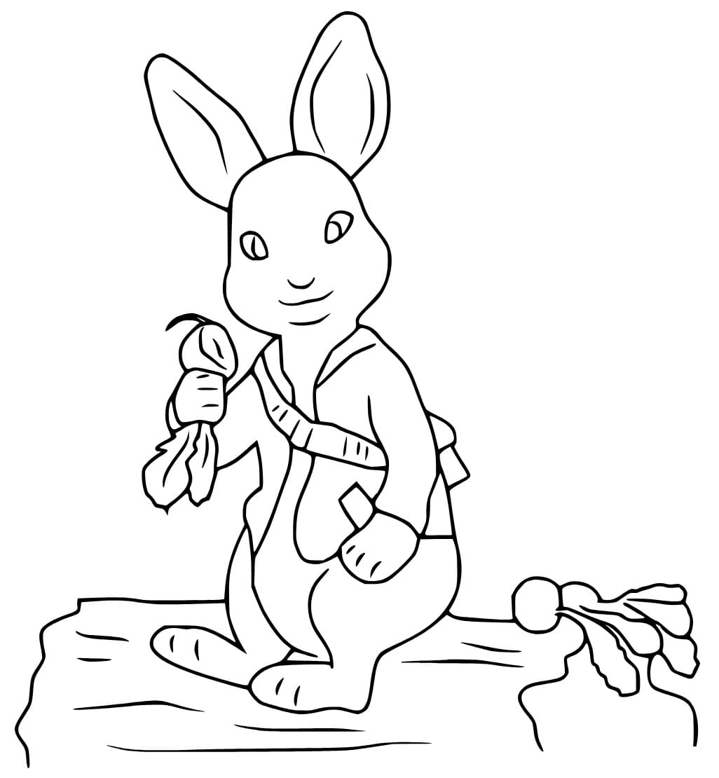 Simple peter rabbit coloring page