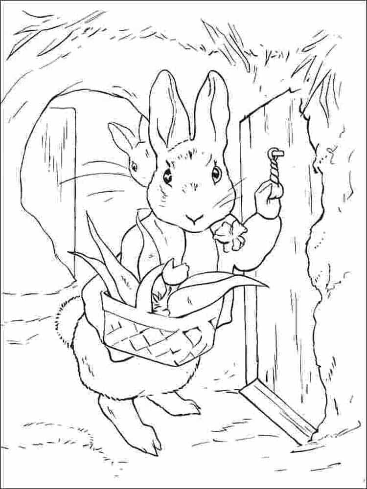 Peter rabbit for free coloring page