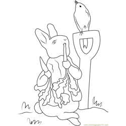 Peter rabbit in farm coloring page for kids