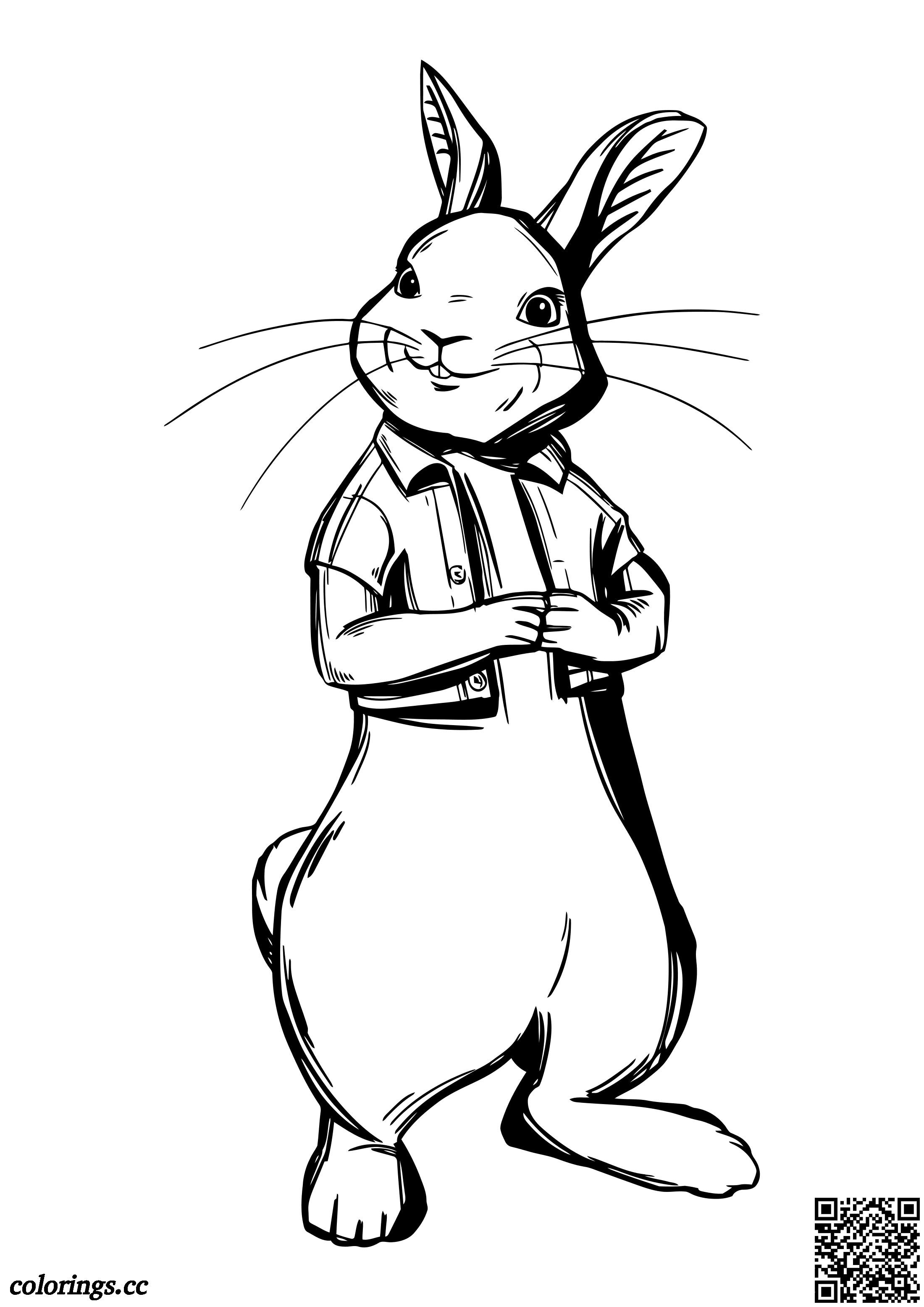 Cottontail rabbit coloring pages rabbit peter coloring pages