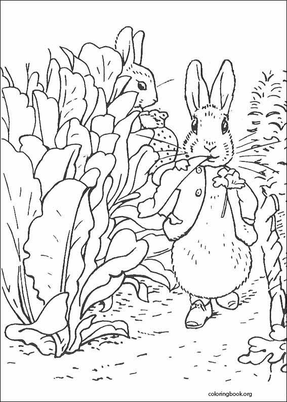 Peter rabbit coloring page