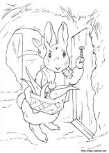 Peter rabbit coloring pages on coloring