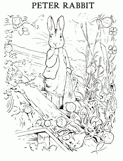 Beatrix potter peter rabbit coloring sheet rabbit colors peter rabbit and friends beatrix potter illustrations