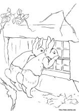 Peter rabbit coloring pages on coloring