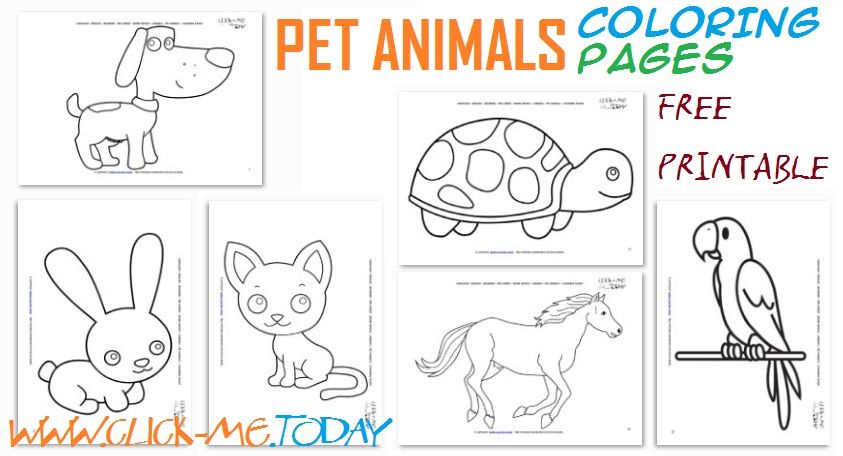 Free printable pet animals loring pages animal loring pages loring pages preschool loring pages