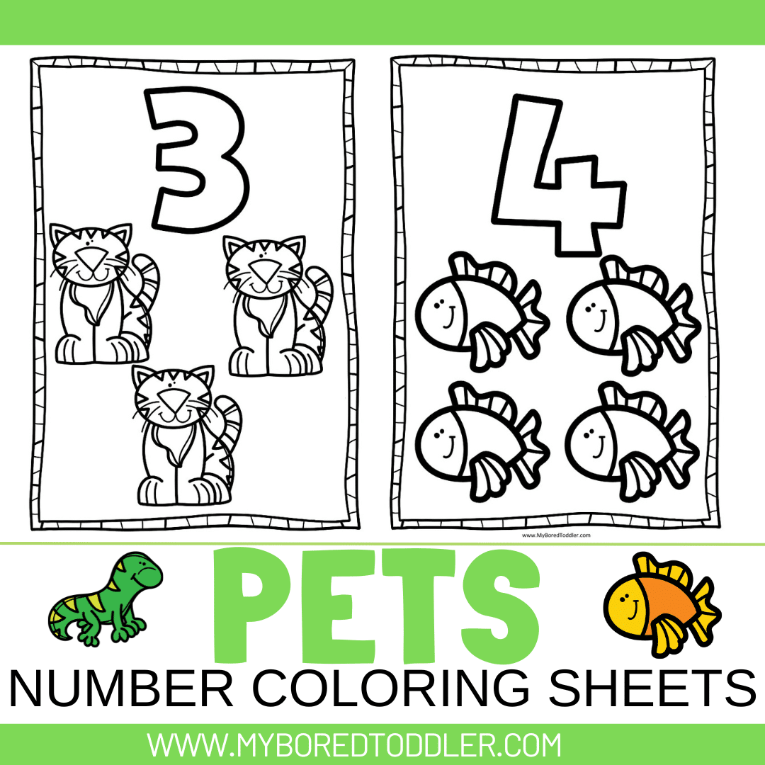 Pets number coloring sheets animals